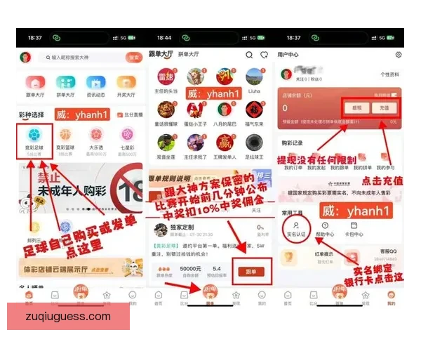 世界杯精彩竞猜尽在官方APP，实时比分与赛事分析全面掌握